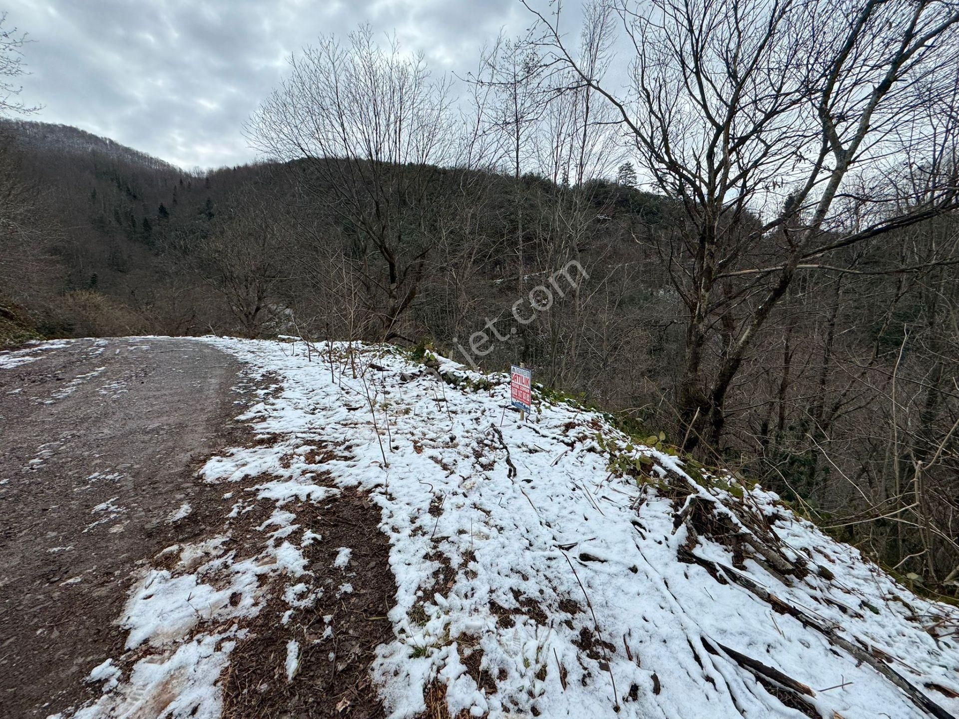 Trabzon Sürmenede Satılık Arazi - Görsel 23