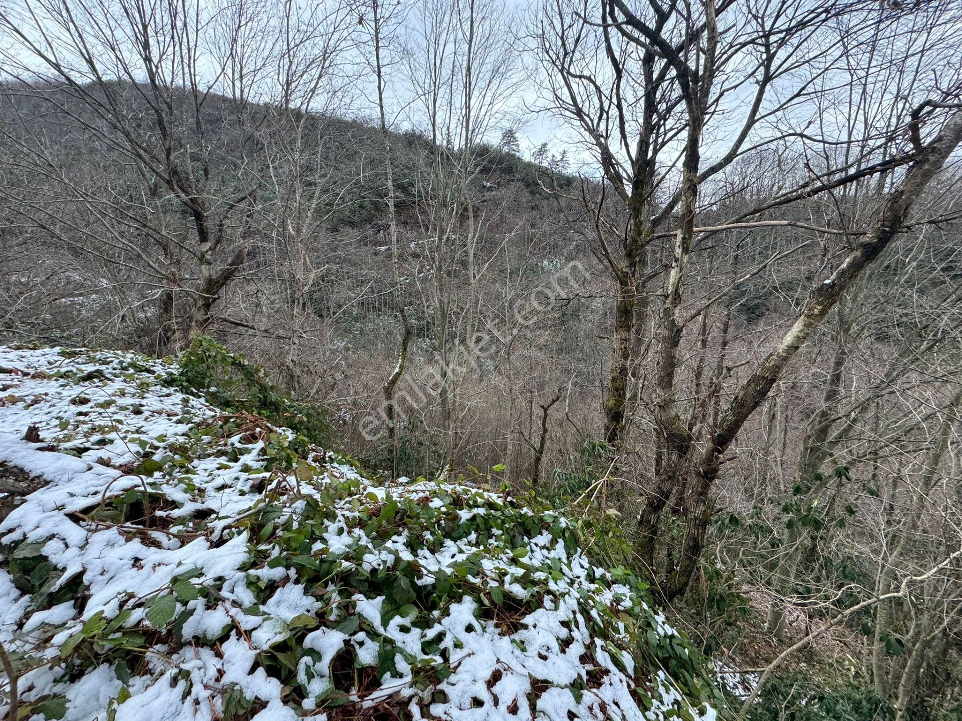 Trabzon Sürmenede Satılık Arazi - Görsel 19
