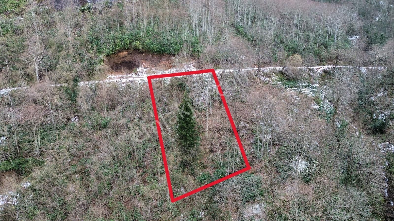 Trabzon Sürmenede Satılık Arazi - Görsel 8