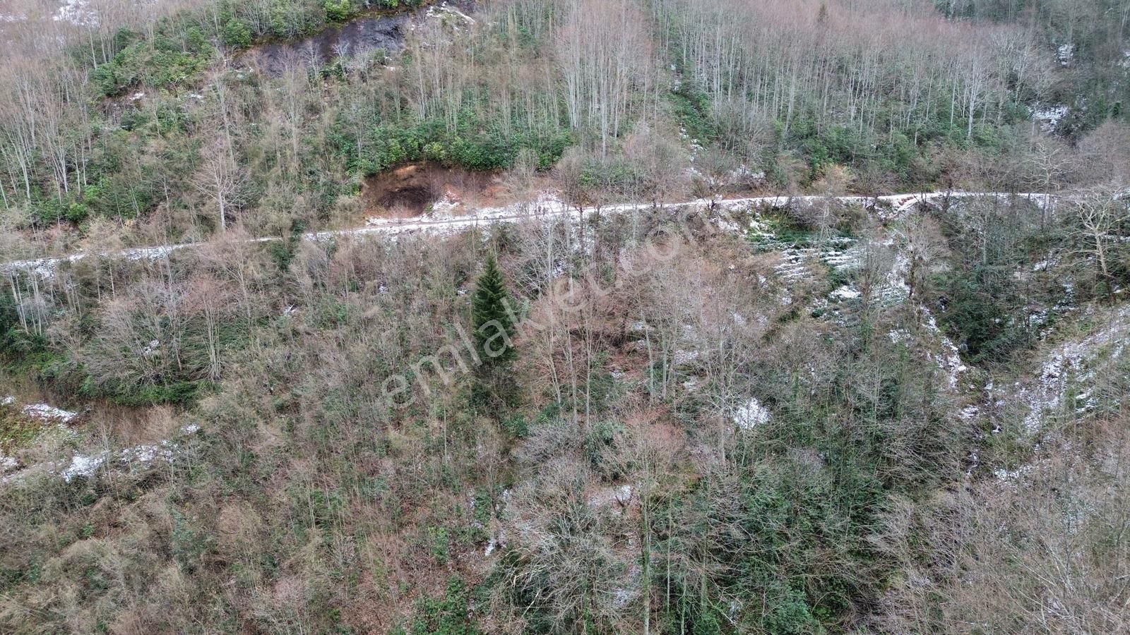 Trabzon Sürmenede Satılık Arazi - Görsel 5