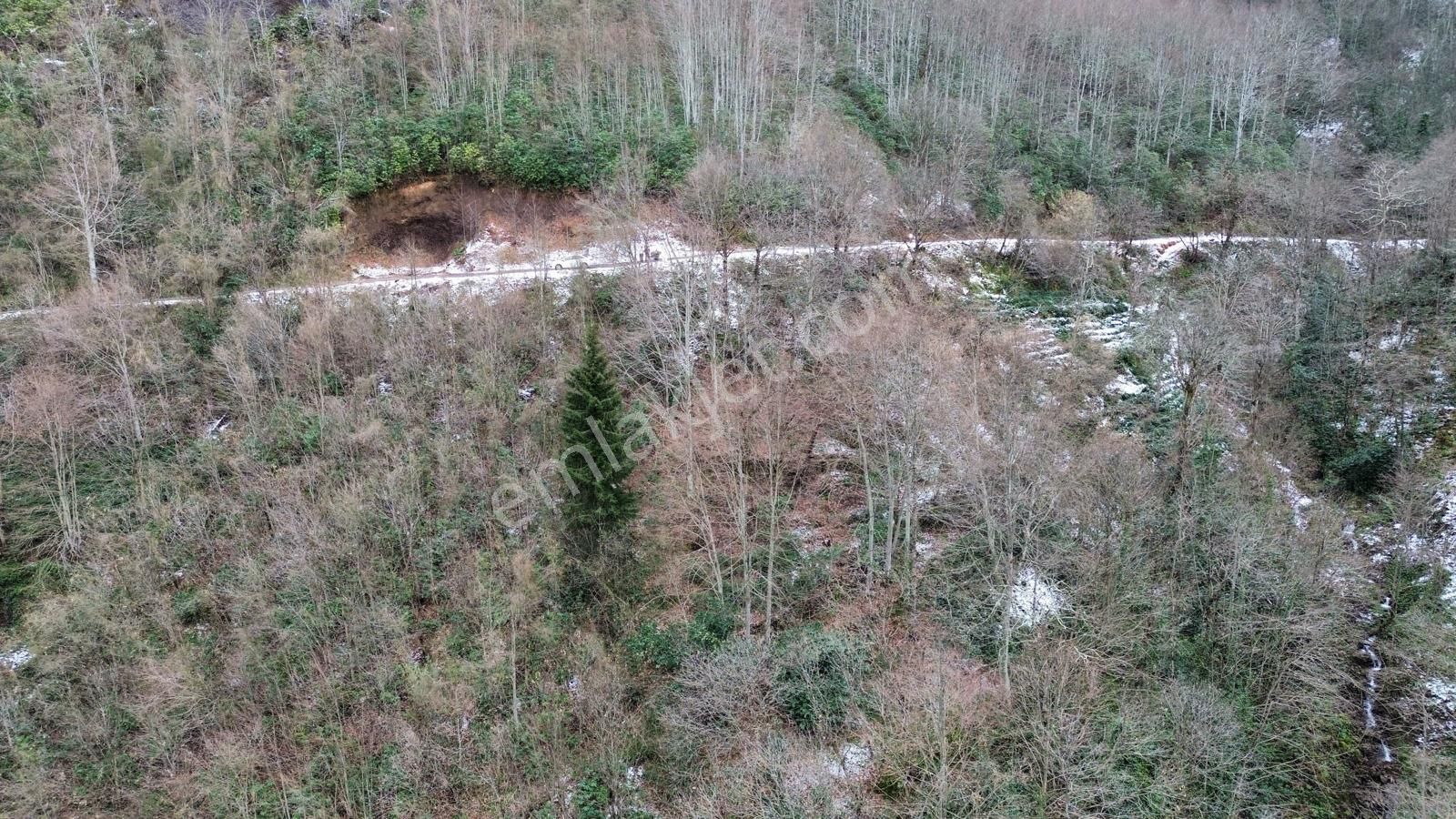 Trabzon Sürmenede Satılık Arazi