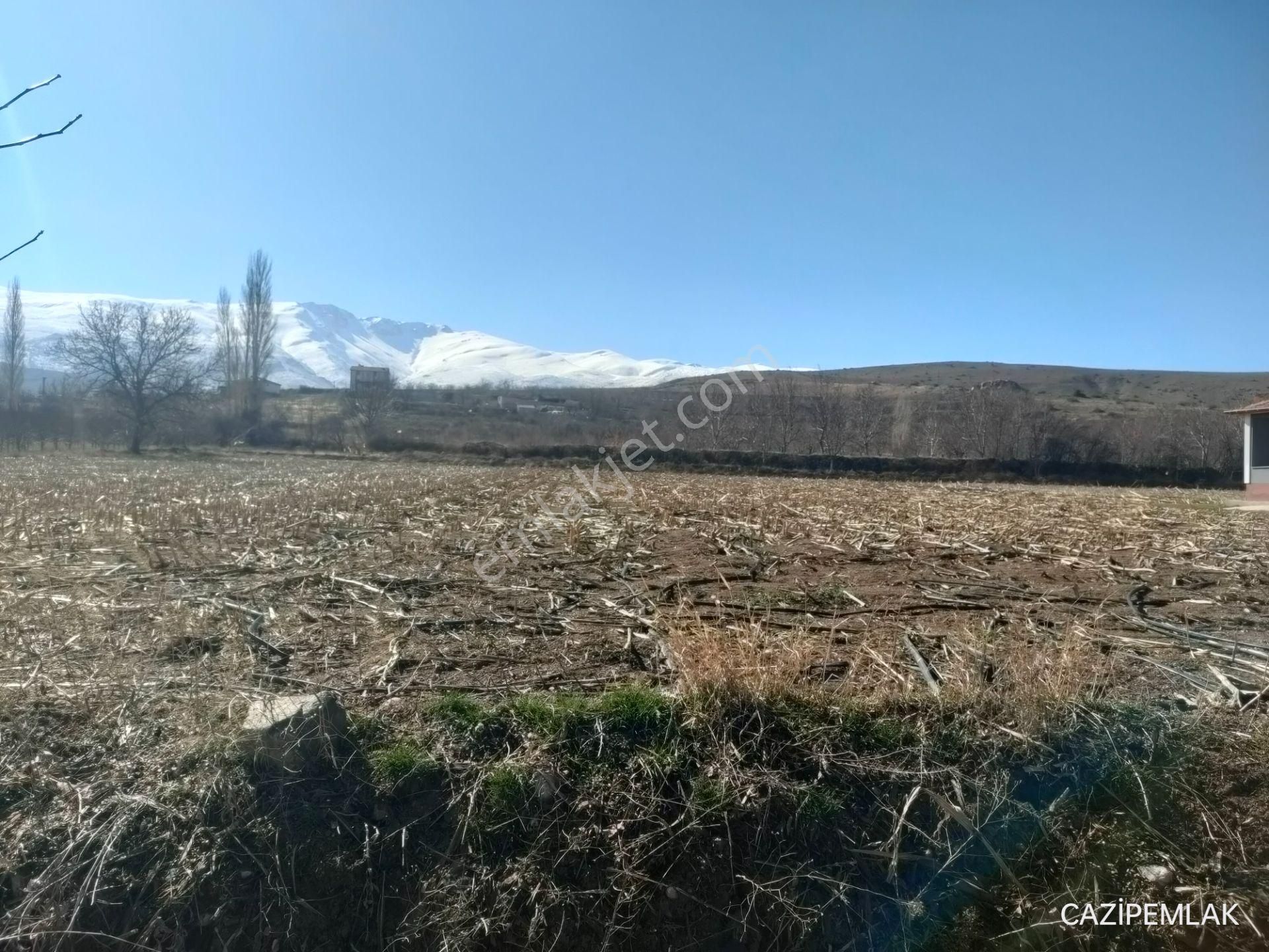 Cazip'ten Yıldızlıda Köy İçi Tek Tapu 9477m² Tarla - Görsel 3