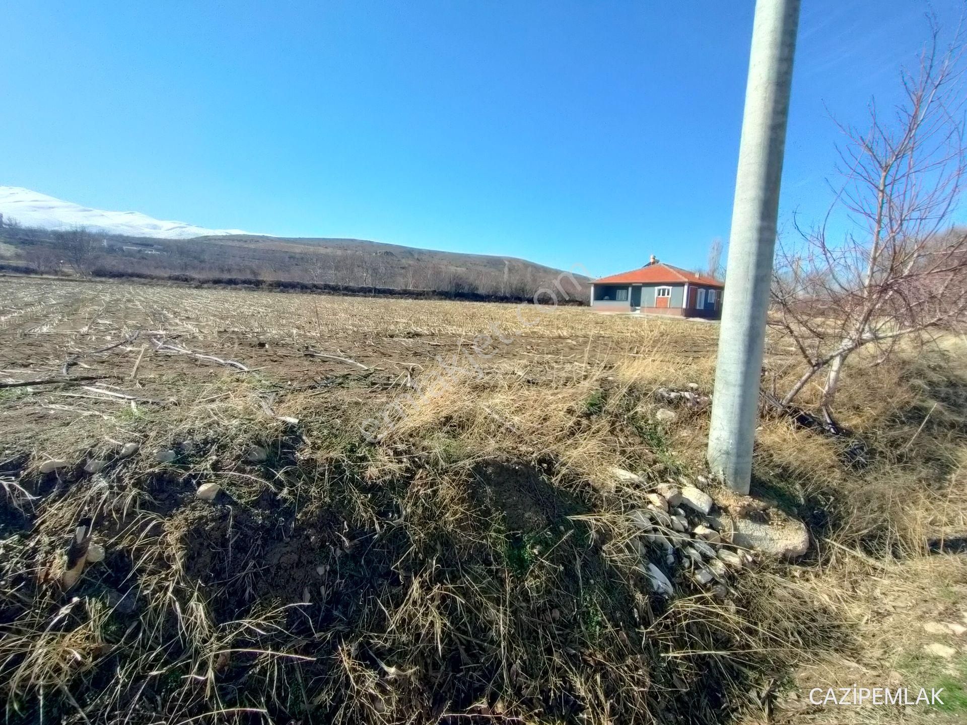 Cazip'ten Yıldızlıda Köy İçi Tek Tapu 9477m² Tarla - Görsel 9