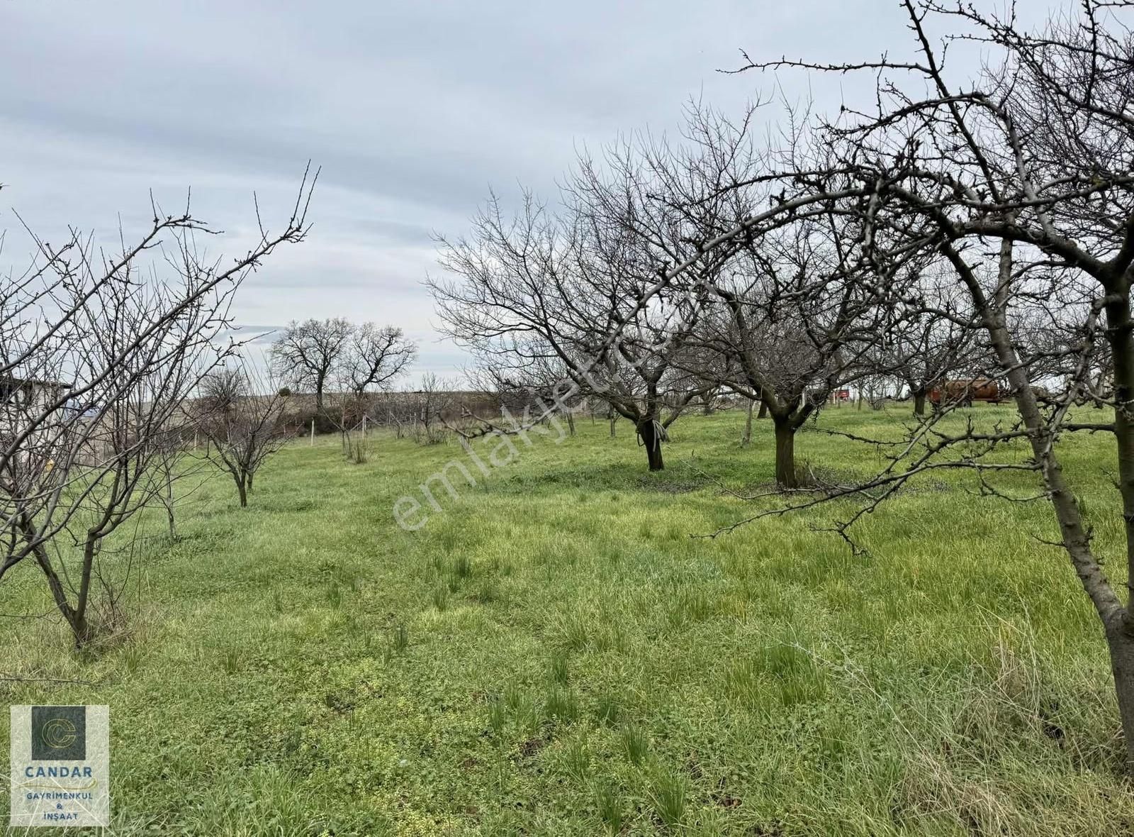 İznik Aydınlar Mahallesinde Satılık Konut İmarlı Arsa - Görsel 5