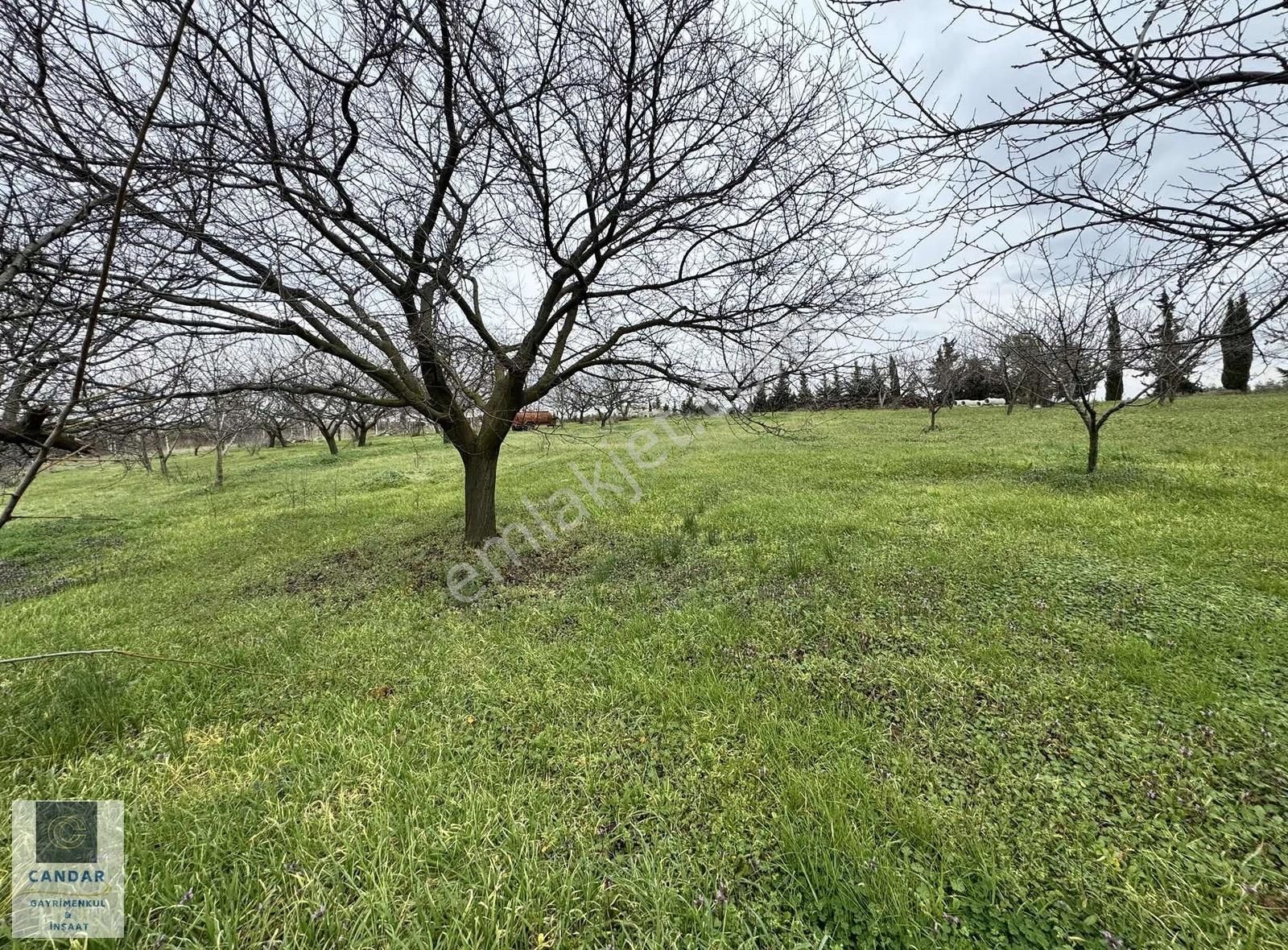 İznik Aydınlar Mahallesinde Satılık Konut İmarlı Arsa - Görsel 17