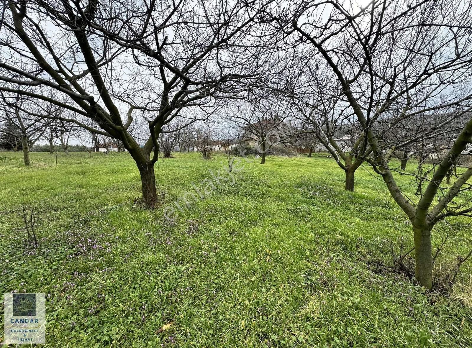 İznik Aydınlar Mahallesinde Satılık Konut İmarlı Arsa - Görsel 9
