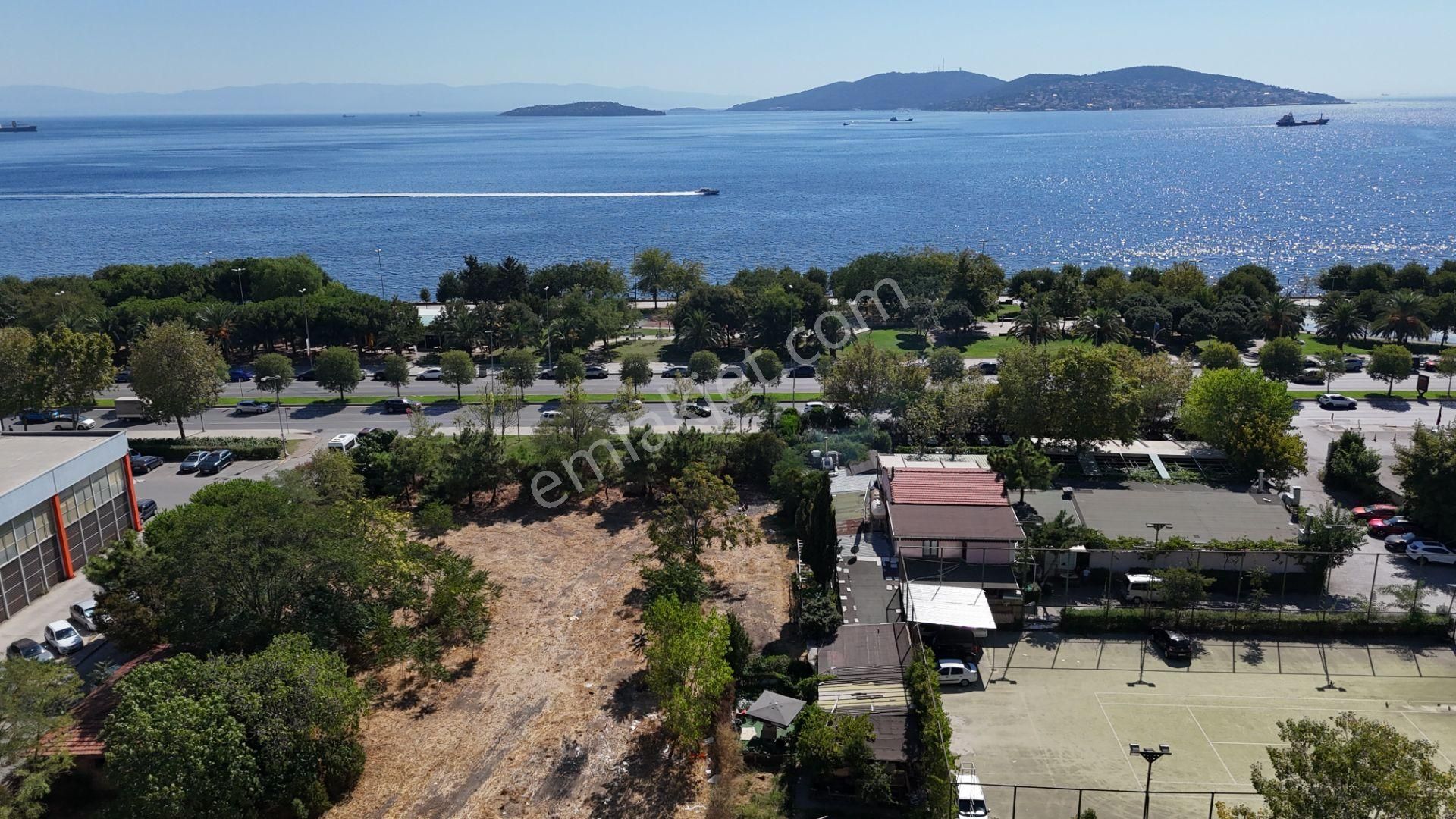 Kartal Sahil'e Sıfır 11.240m2 Emsalsiz %1.5 İmarlı Satılık Arsa - Görsel 14