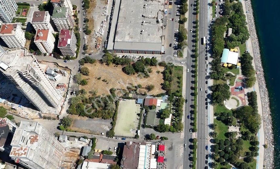 Kartal Sahil'e Sıfır 11.240m2 Emsalsiz %1.5 İmarlı Satılık Arsa - Görsel 9