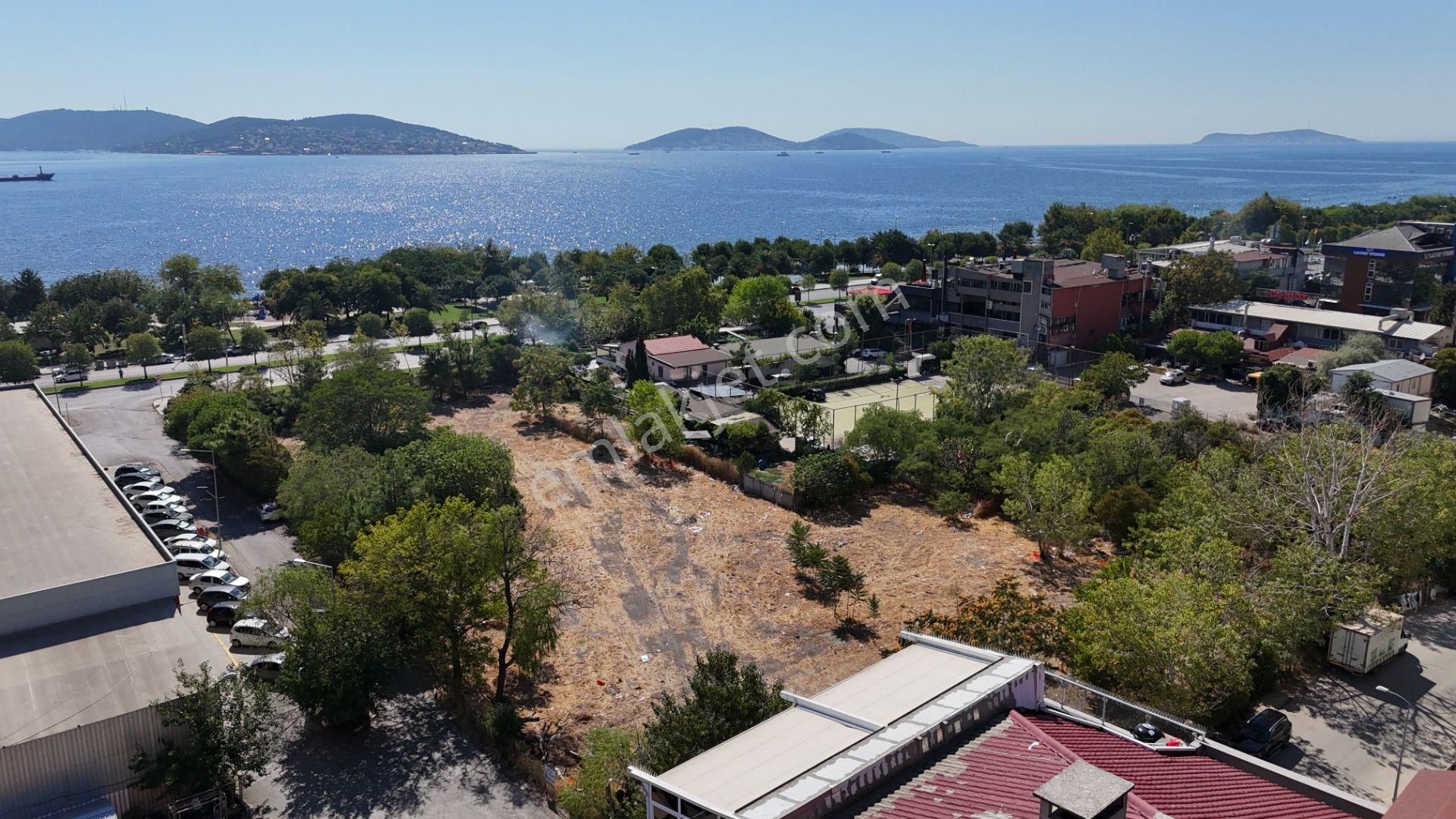 Kartal Sahil'e Sıfır 11.240m2 Emsalsiz %1.5 İmarlı Satılık Arsa - Görsel 18
