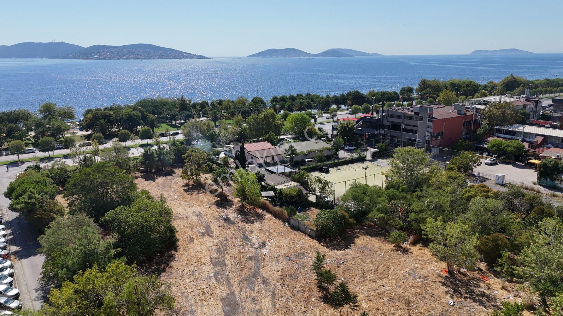 Kartal Sahil'e Sıfır 11.240m2 Emsalsiz %1.5 İmarlı Satılık Arsa - Görsel 23