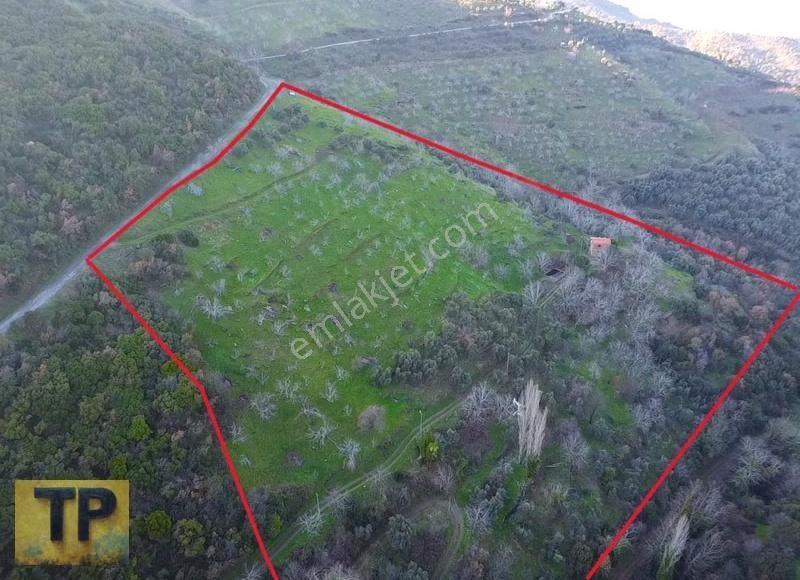 İzmir Tire De Hayalinizdeki Büyük Bahçe Satılık 34.131m² - Görsel 13