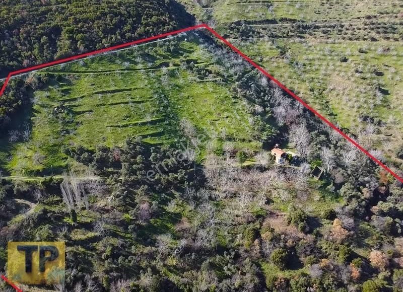 İzmir Tire De Hayalinizdeki Büyük Bahçe Satılık 34.131m² - Görsel 9