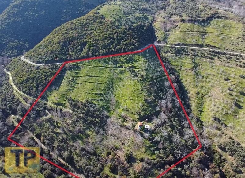İzmir Tire De Hayalinizdeki Büyük Bahçe Satılık 34.131m² - Görsel 2