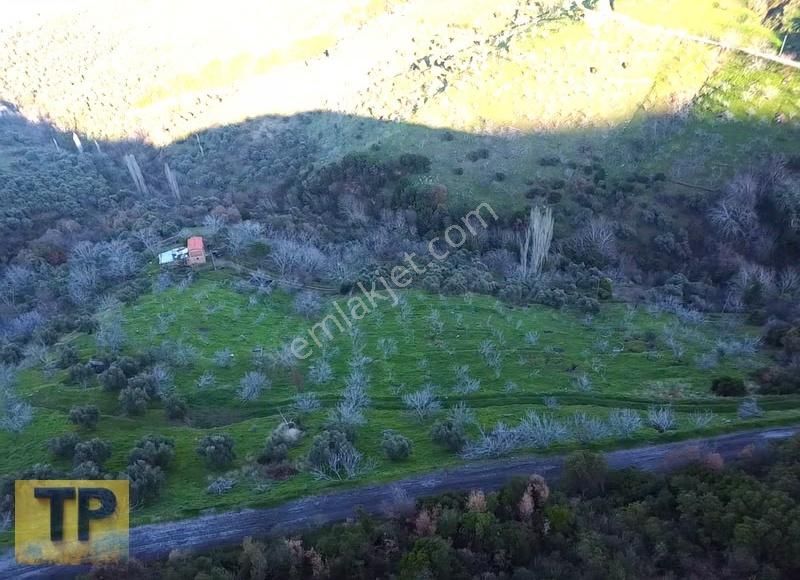 İzmir Tire De Hayalinizdeki Büyük Bahçe Satılık 34.131m² - Görsel 3