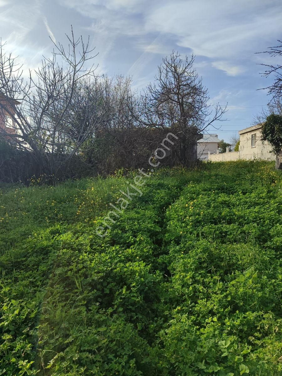 Mavi Atlas'tan 19mayıs Kertme'de Satılık Tarla - Görsel 9