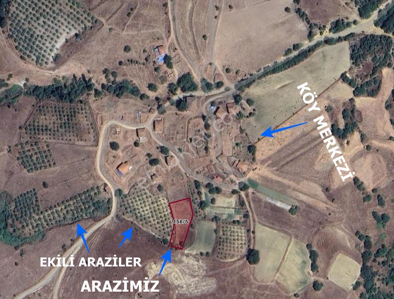 Balıkesir Sındırgı!da 1.291 M2 İmar Sınırında Düz Köy İçi Arazi - Görsel 4