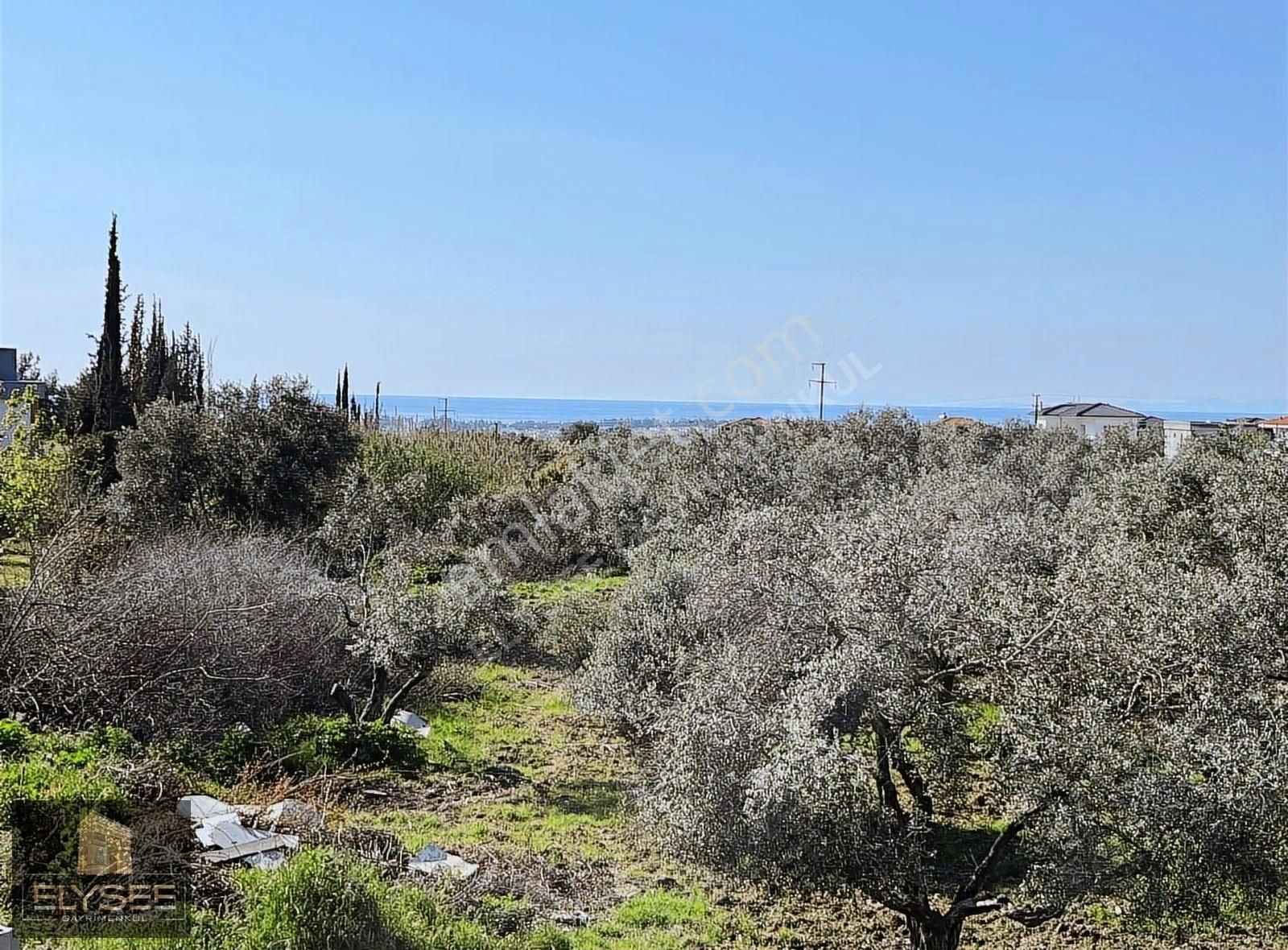 Kuşadası Davutlarda Özel Havuzllu Villa - Görsel 16