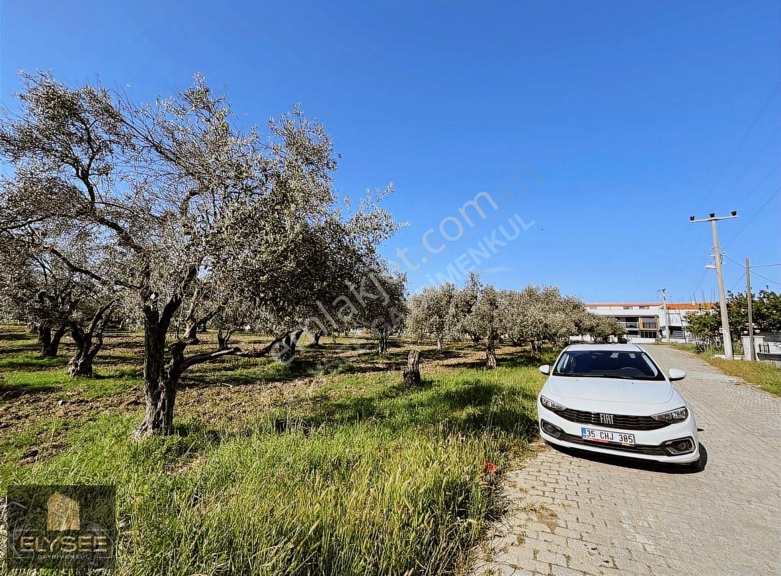 Kuşadası Davutlarda Özel Havuzllu Villa - Görsel 32