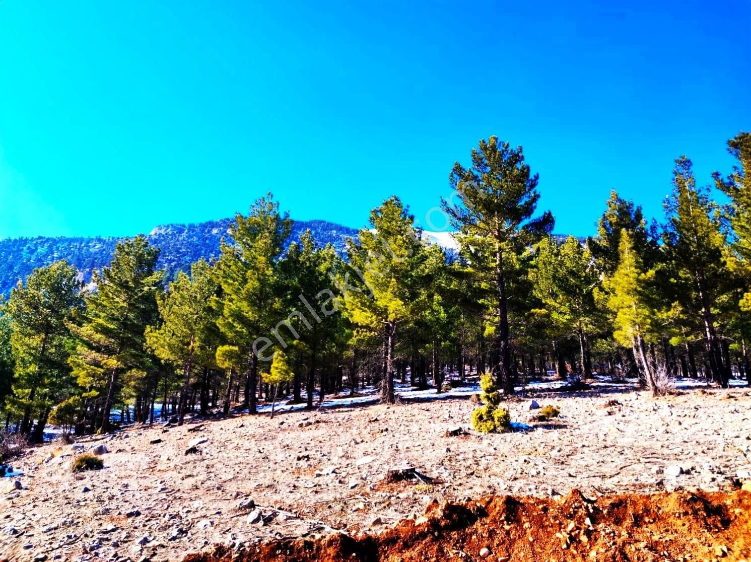 Kar Emlaktan Yenikonacık Efes Sitesi Üzerinde 400 M2 Satılık Arsa - Görsel 12