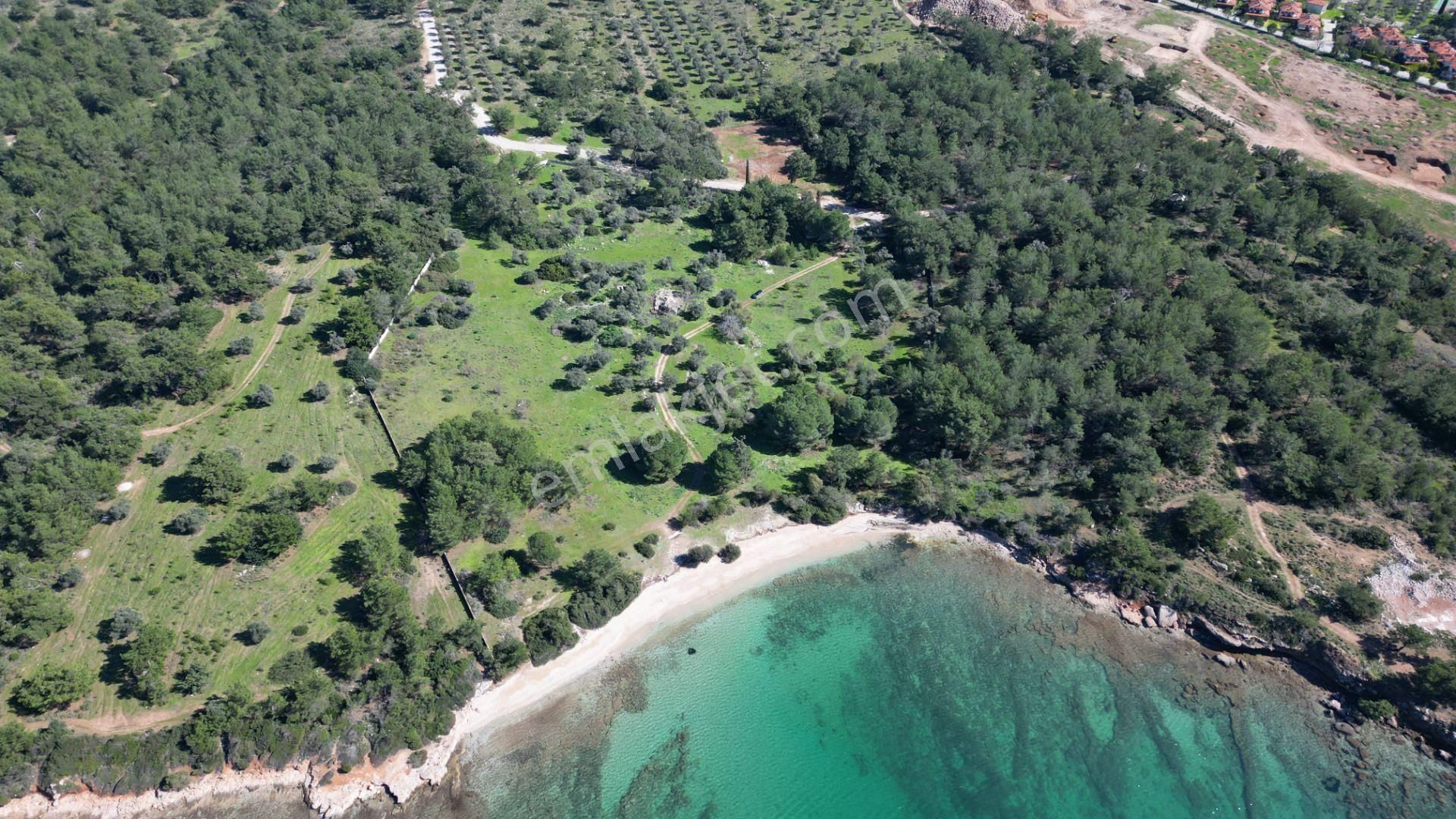 Denize Sıfır 32 Dönüm Bozbük Bölgesinde Satılık Arazi - Görsel 11