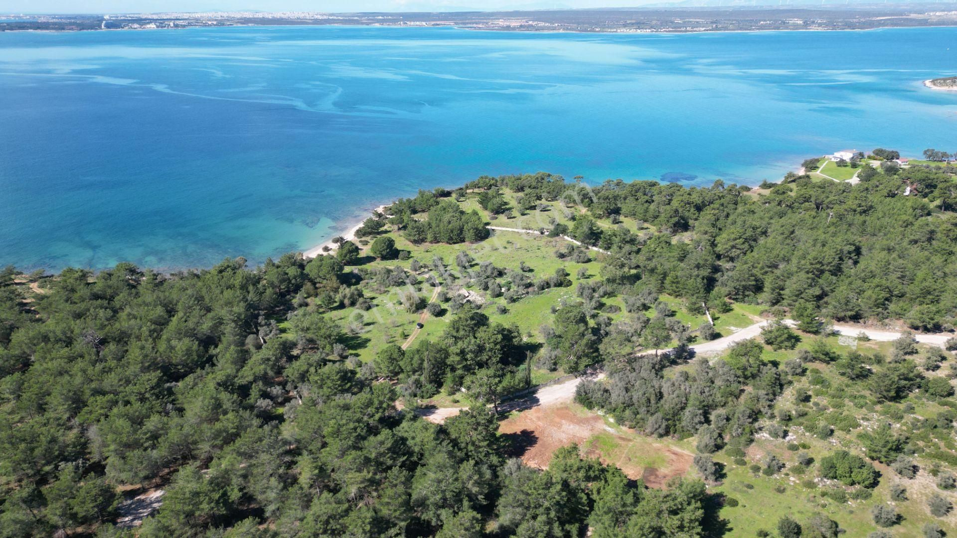 Denize Sıfır 32 Dönüm Bozbük Bölgesinde Satılık Arazi - Görsel 6