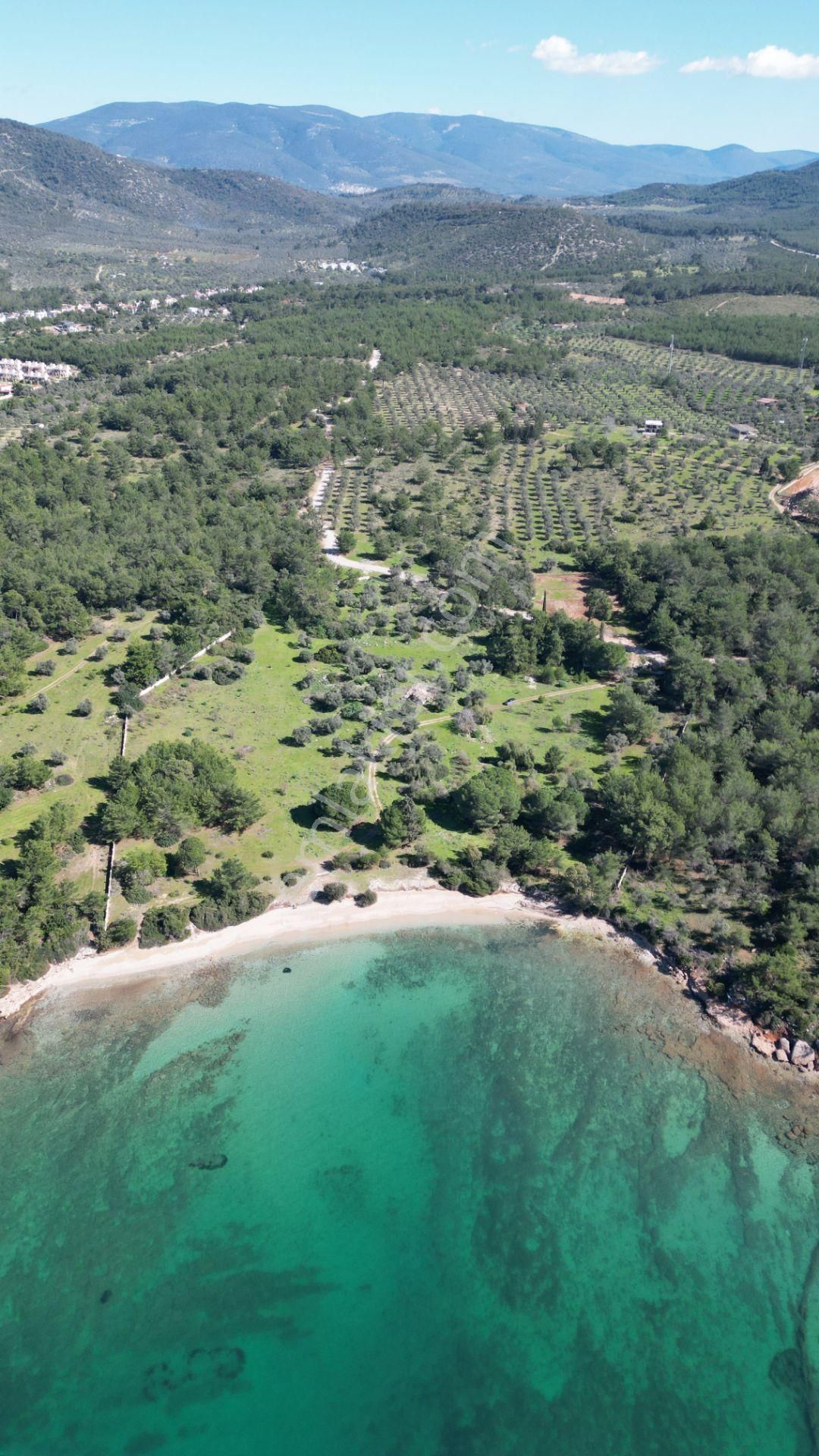 Denize Sıfır 32 Dönüm Bozbük Bölgesinde Satılık Arazi - Görsel 21