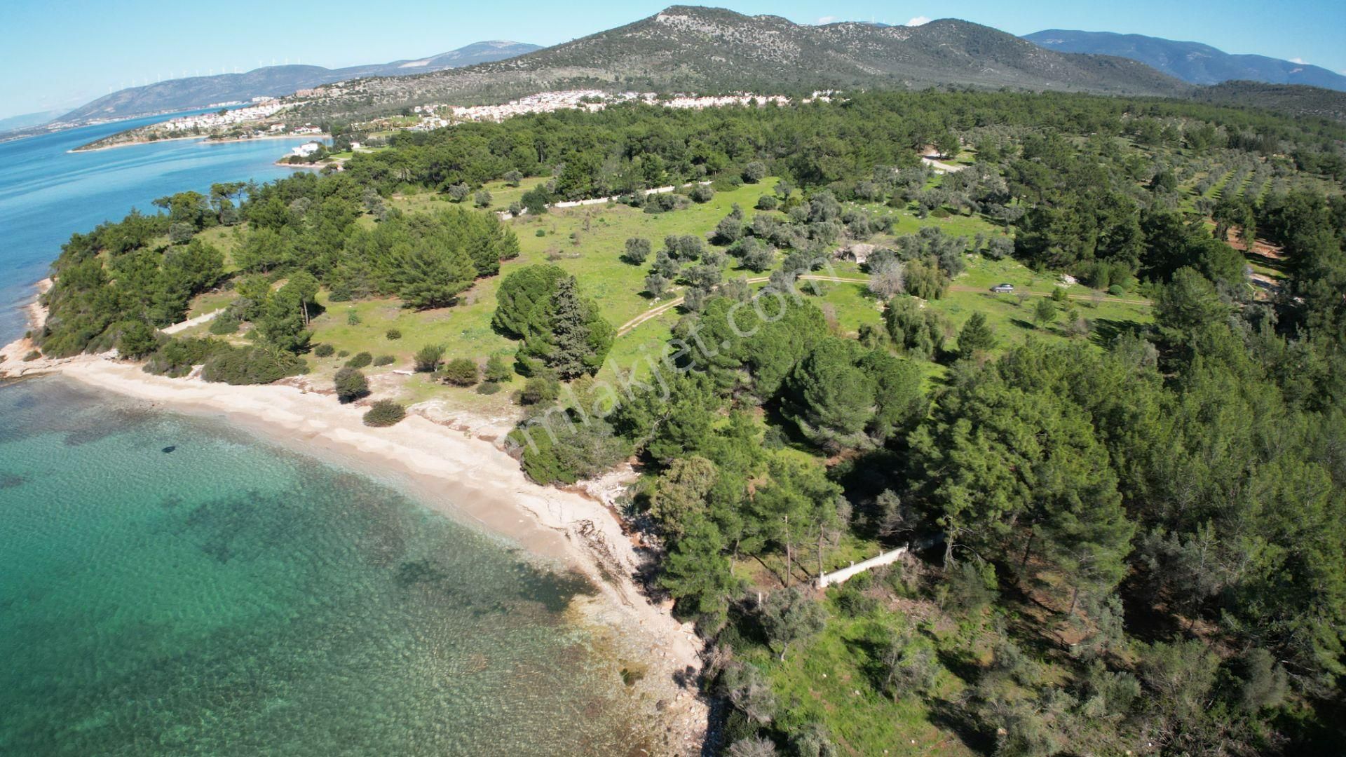 Denize Sıfır 32 Dönüm Bozbük Bölgesinde Satılık Arazi - Görsel 22