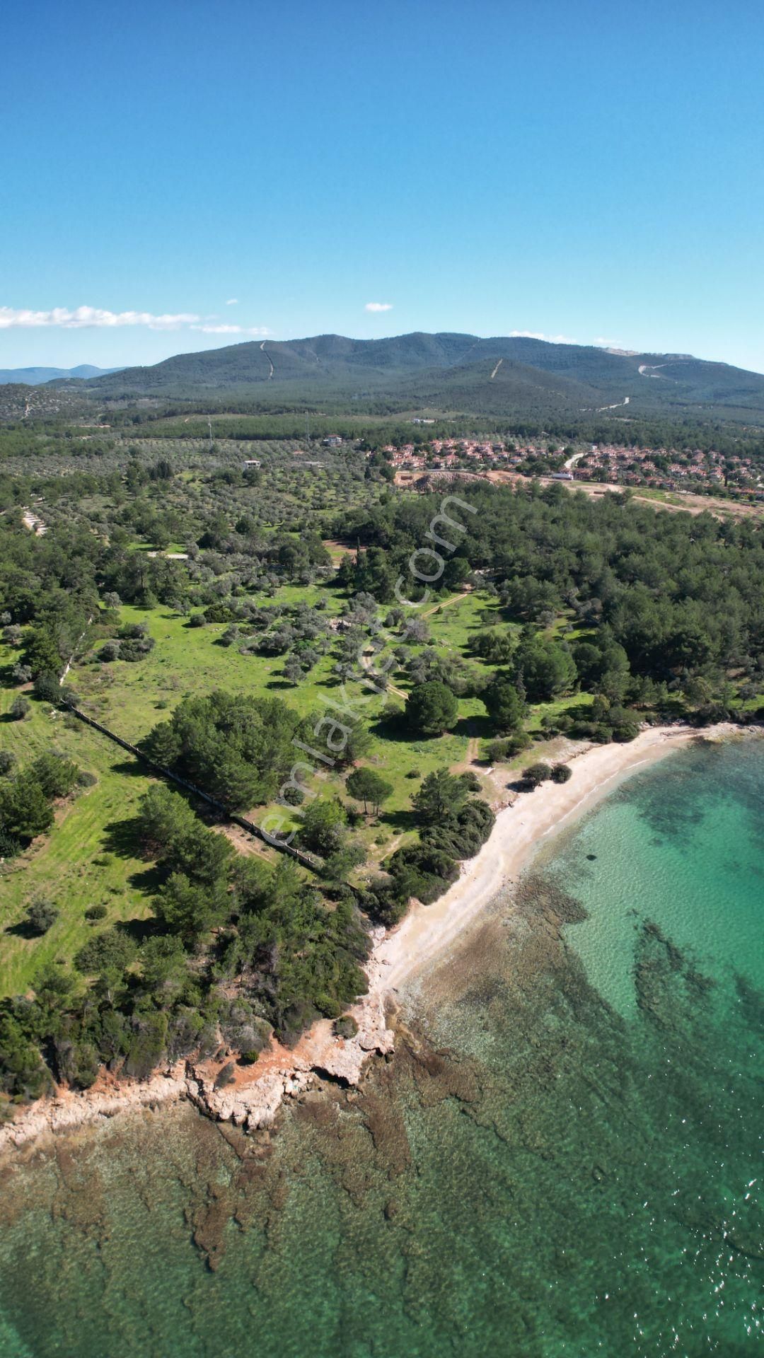 Denize Sıfır 32 Dönüm Bozbük Bölgesinde Satılık Arazi - Görsel 26