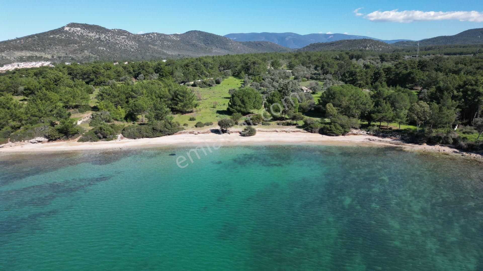 Denize Sıfır 32 Dönüm Bozbük Bölgesinde Satılık Arazi - Görsel 15