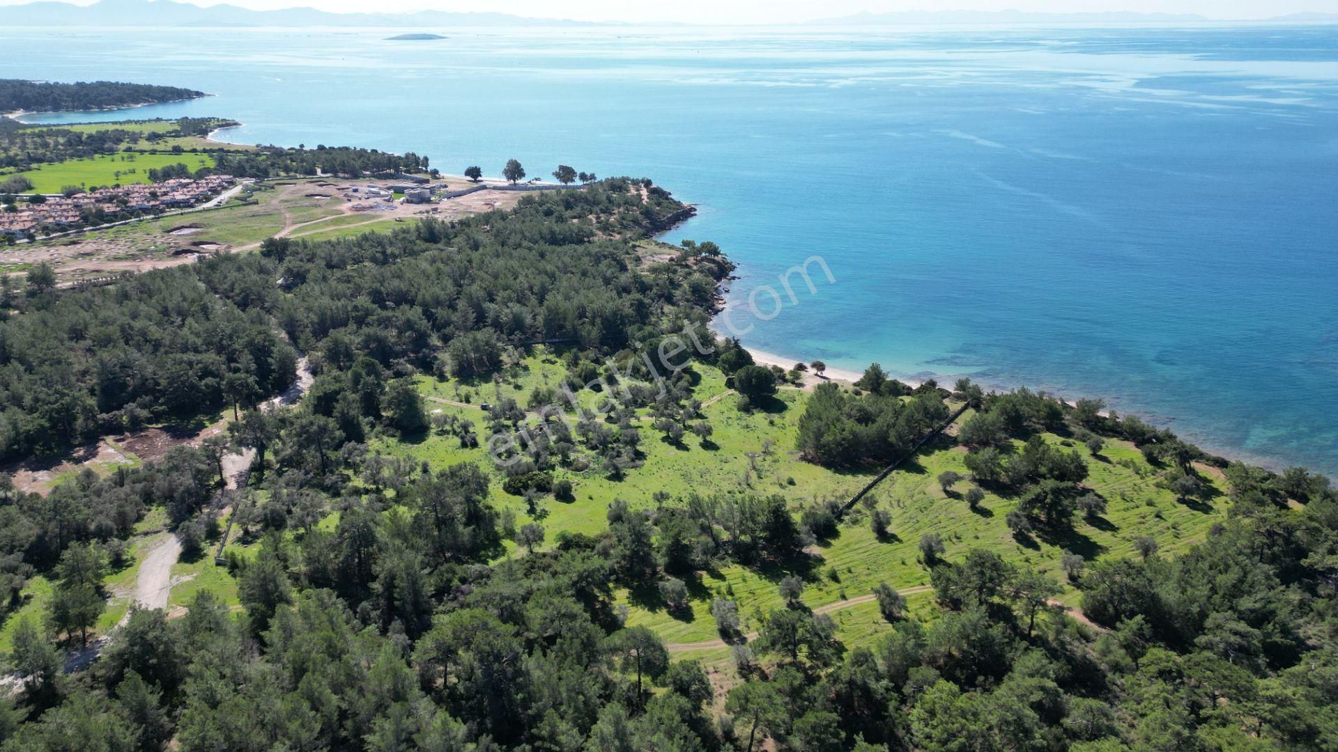 Denize Sıfır 32 Dönüm Bozbük Bölgesinde Satılık Arazi - Görsel 13