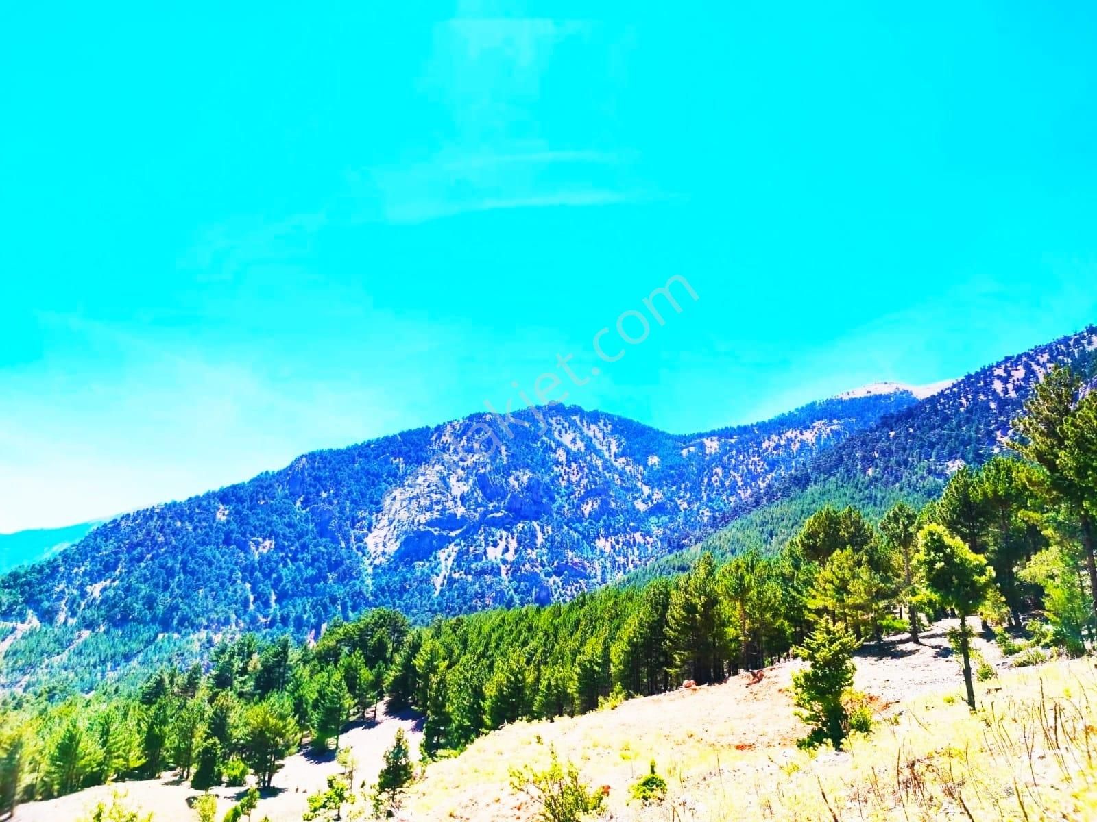 Kar Emlaktan Yenikonacık Efes Sitesi Yanı 500 M2 Satılık Arsa - Görsel 8