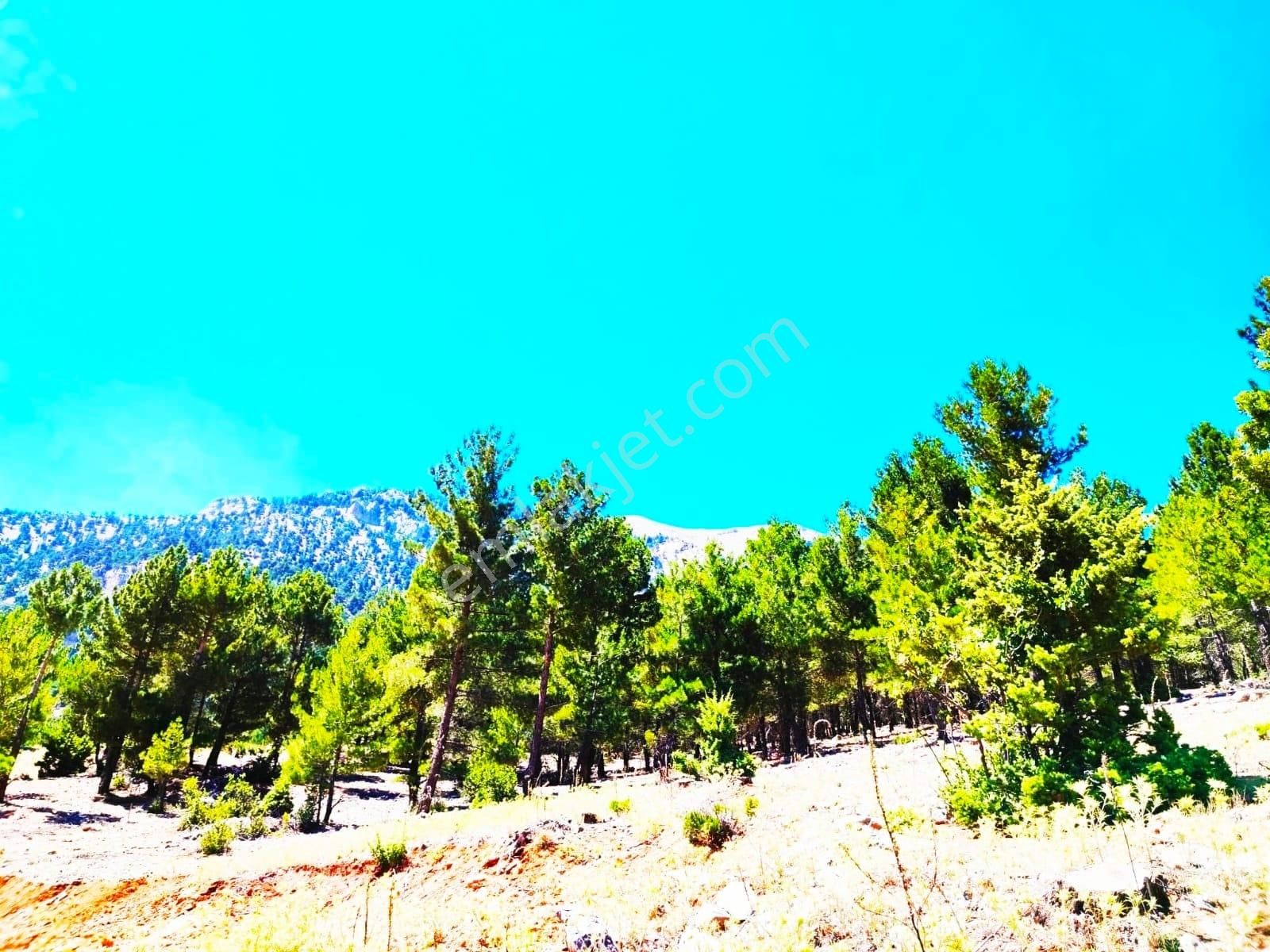 Kar Emlaktan Yenikonacık Efes Sitesi Yanı 500 M2 Satılık Arsa - Görsel 22