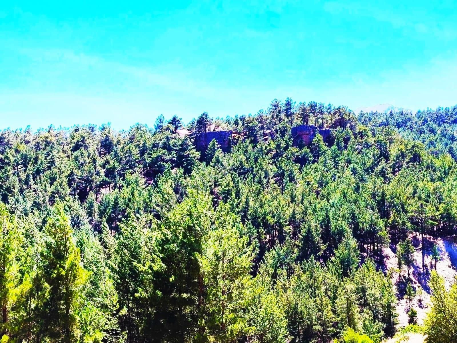 Kar Emlaktan Yenikonacık Efes Sitesi Yanı 500 M2 Satılık Arsa - Görsel 11