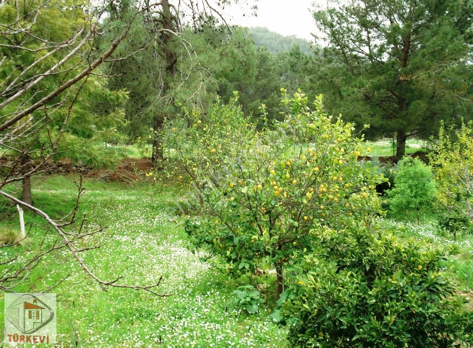 Dalyan Gökbelde Satılık Müstakil Bahçeli Villa (gbk03) - Görsel 7