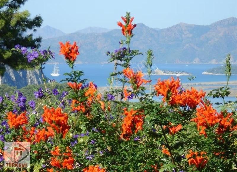 Dalyan Gökbelde Satılık Müstakil Bahçeli Villa (gbk03) - Görsel 5
