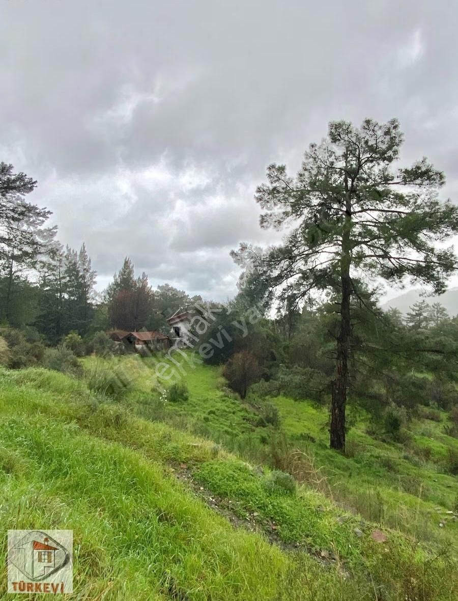 Dalyan Gökbelde Satılık Müstakil Bahçeli Villa (gbk03) - Görsel 19