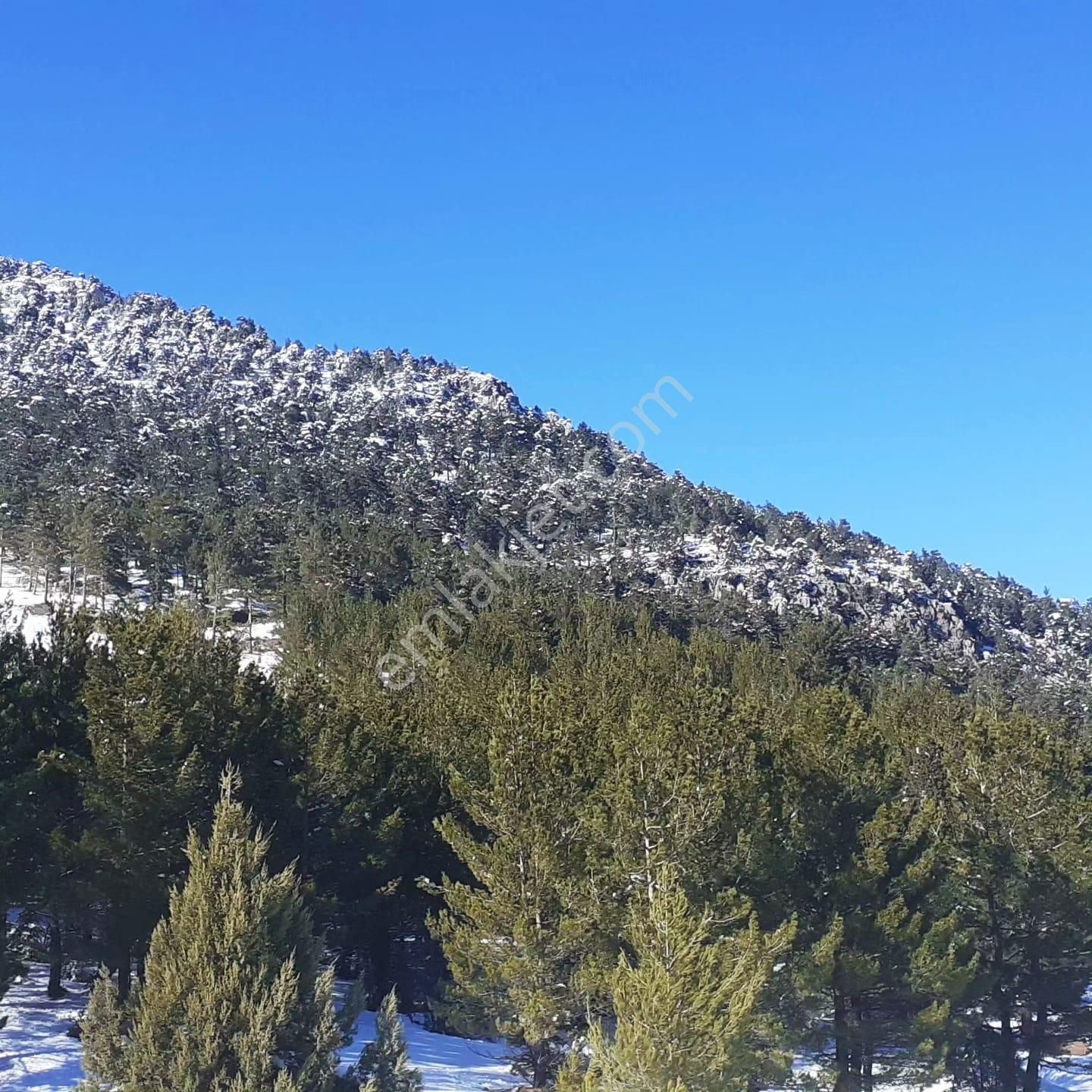 Kar Emlaktan Yenikonacık Körmenlik Mevkiinde 570 M2 Satılık Arsa