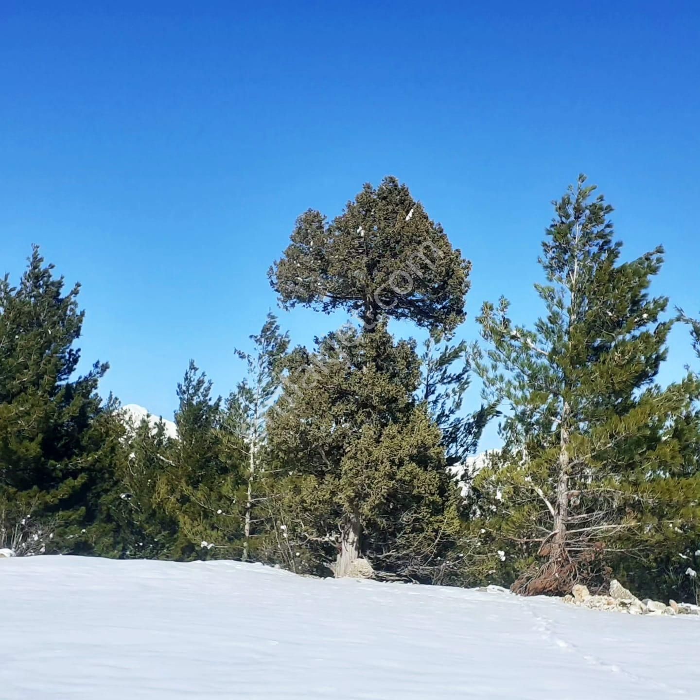 Kar Emlaktan Yenikonacık Körmenlik Mevkiinde 570 M2 Satılık Arsa - Görsel 5