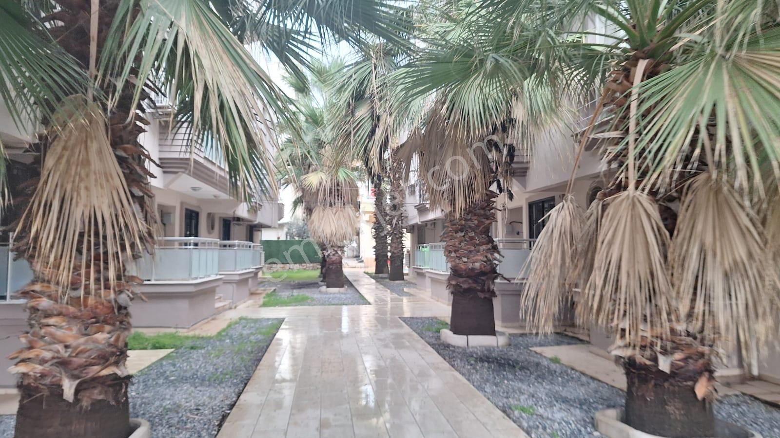 Didim Merkezde Denize Yürüme Mesafesinde Havuzlu 3+1 Daire - Görsel 24