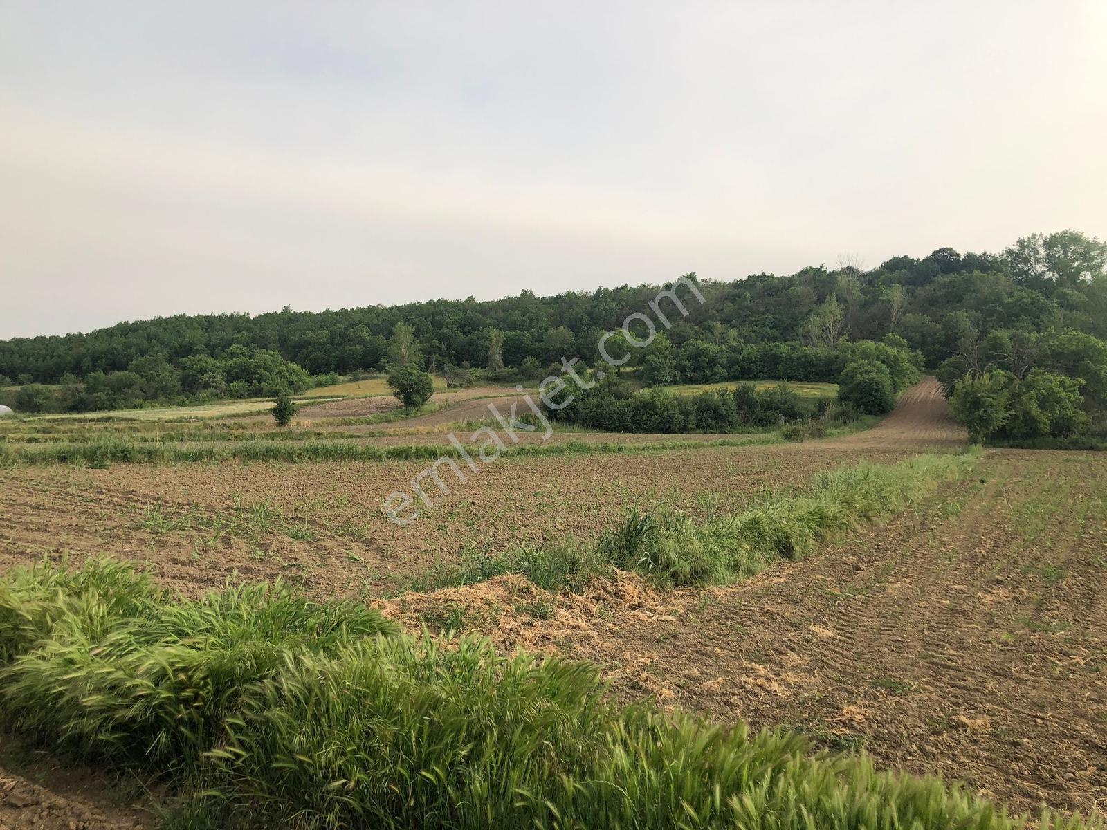 Edirne Uzunköprü Kırkkavak Köyü'nde 5.650 M2 Satılık Tarla - Görsel 2