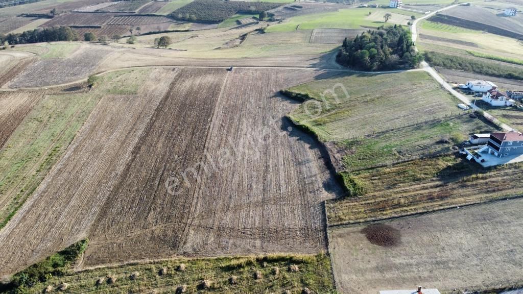 9368 M2 Satılık Tarla Kaynarca Merkeze Yakın Kırktepe'de - Görsel 12