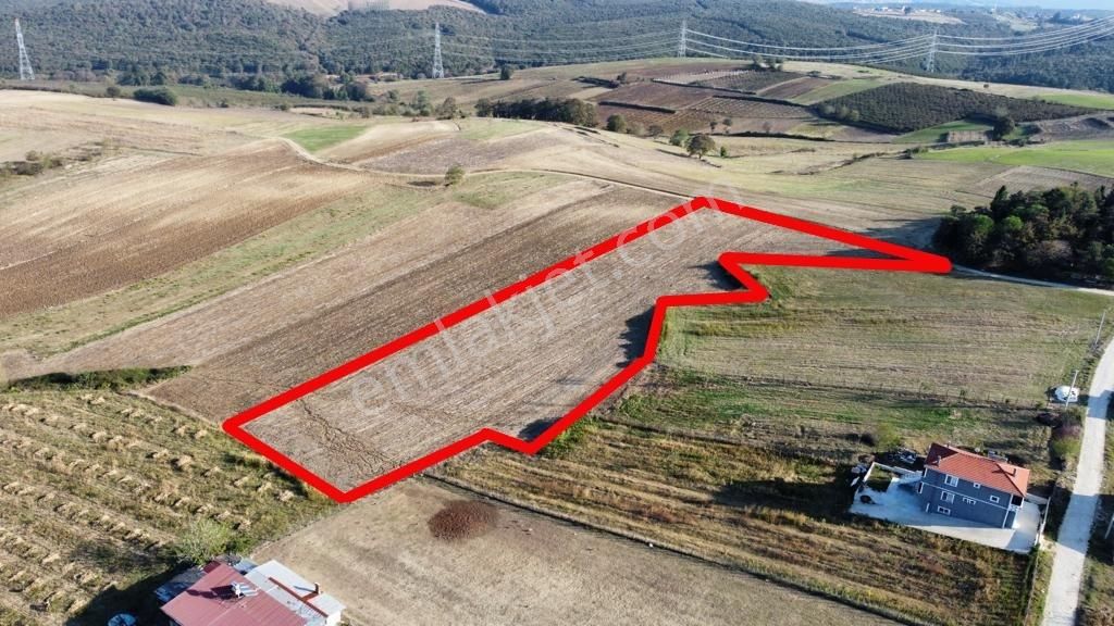 9368 M2 Satılık Tarla Kaynarca Merkeze Yakın Kırktepe'de - Görsel 13