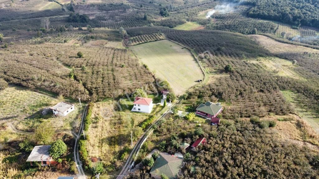 Karasu Resuller Yatırımlık Kadastro Yol Cepheli 14975 M2 Tarla - Görsel 8