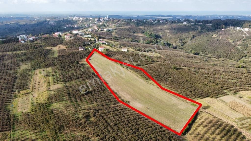 Karasu Resuller Yatırımlık Kadastro Yol Cepheli 14975 M2 Tarla