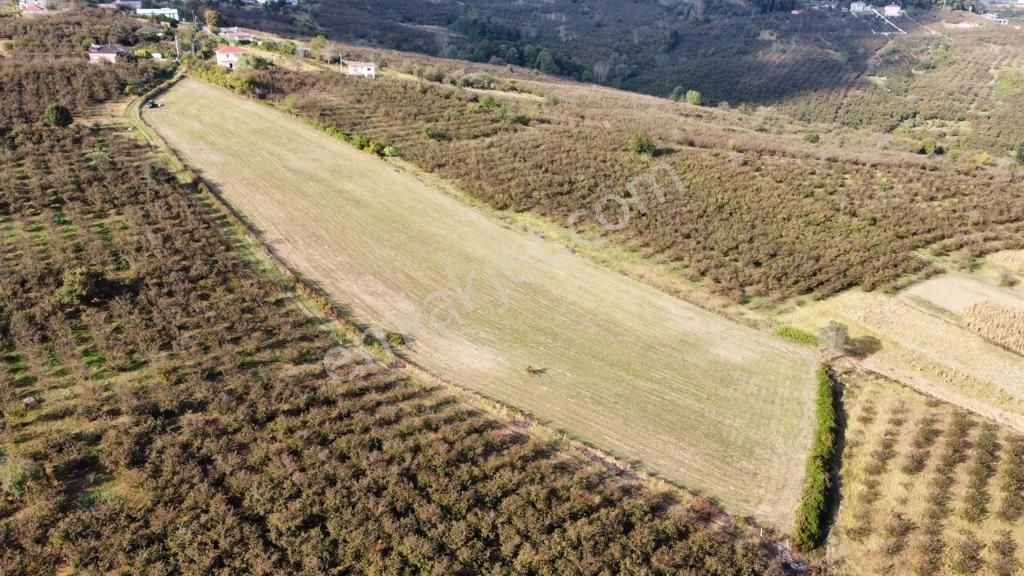 Karasu Resuller Yatırımlık Kadastro Yol Cepheli 14975 M2 Tarla - Görsel 14