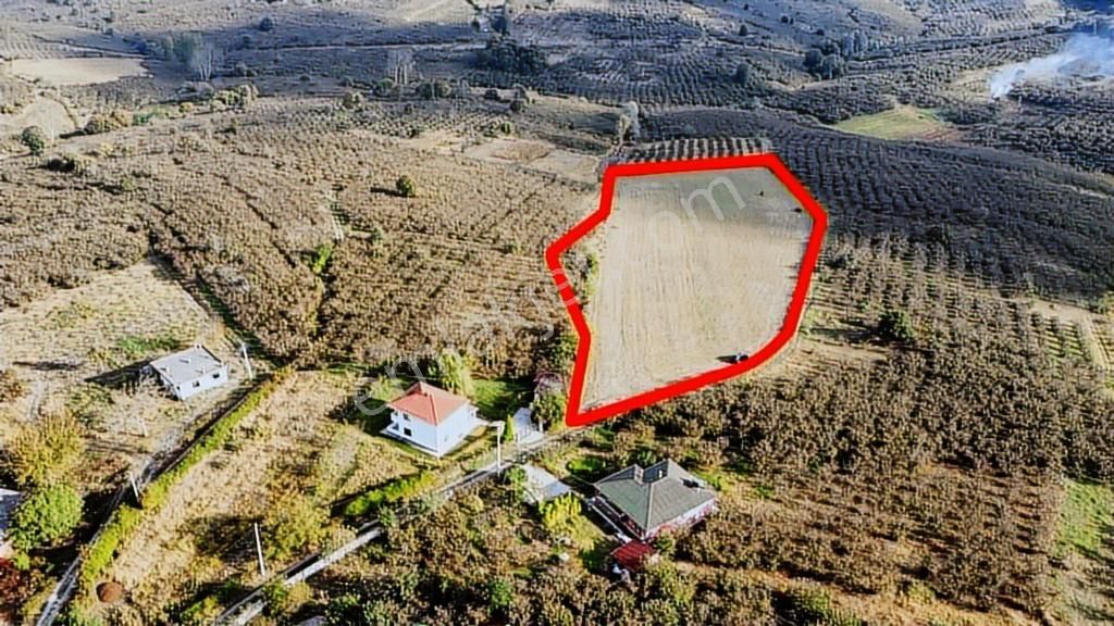 Karasu Resuller Yatırımlık Kadastro Yol Cepheli 14975 M2 Tarla - Görsel 5