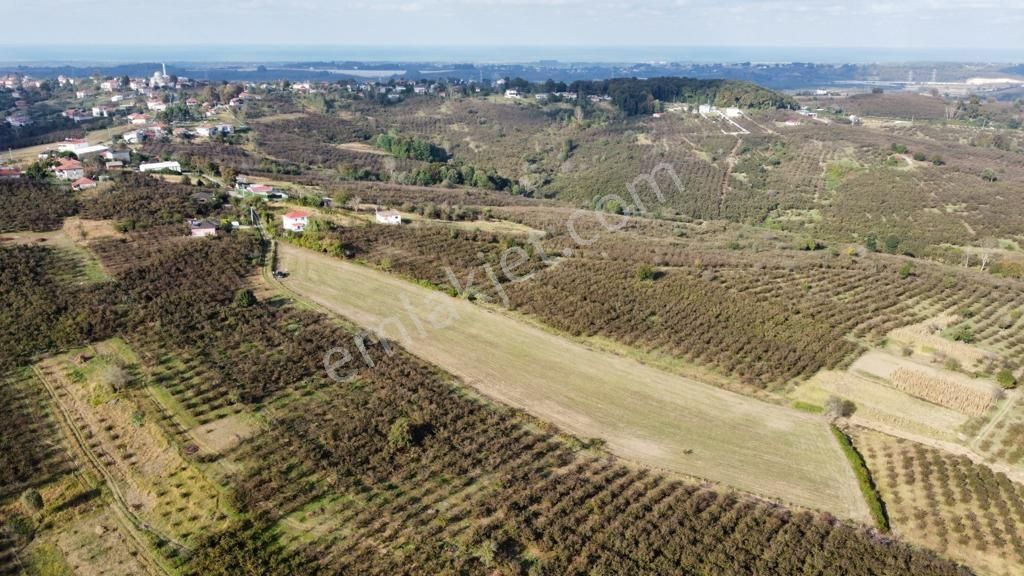 Karasu Resuller Yatırımlık Kadastro Yol Cepheli 14975 M2 Tarla - Görsel 11