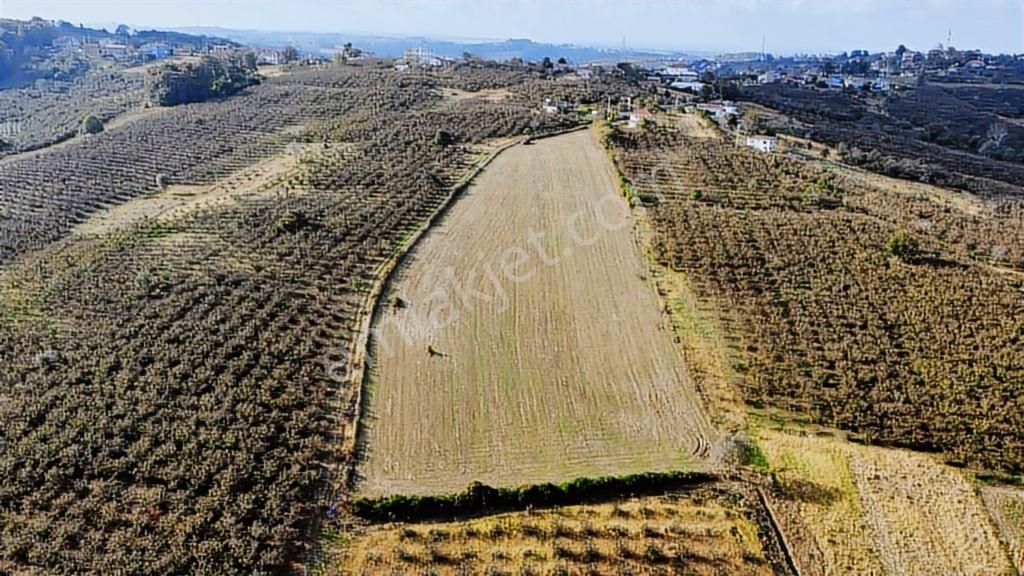 Karasu Resuller Yatırımlık Kadastro Yol Cepheli 14975 M2 Tarla - Görsel 16