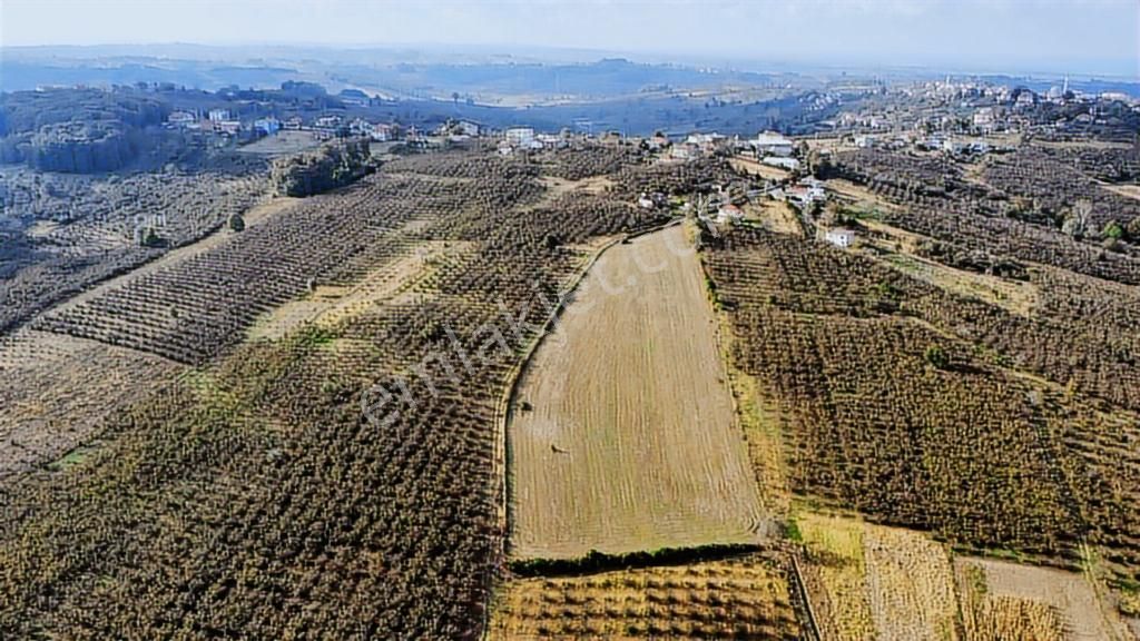 Karasu Resuller Yatırımlık Kadastro Yol Cepheli 14975 M2 Tarla - Görsel 17