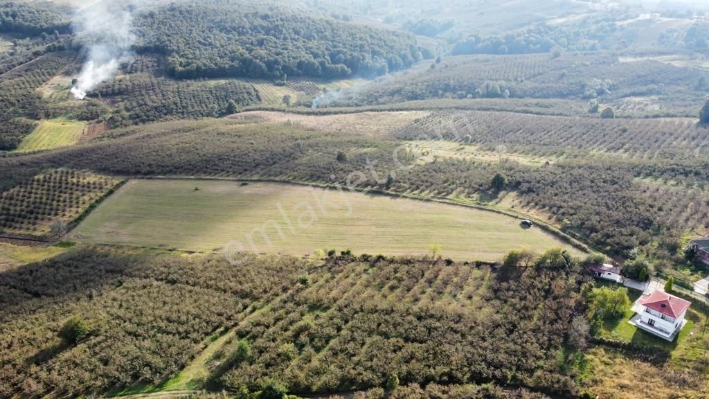 Karasu Resuller Yatırımlık Kadastro Yol Cepheli 14975 M2 Tarla - Görsel 18